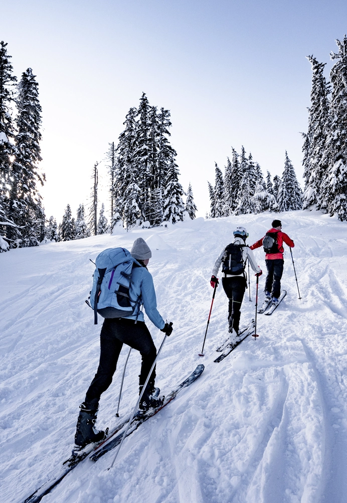 ski de fond