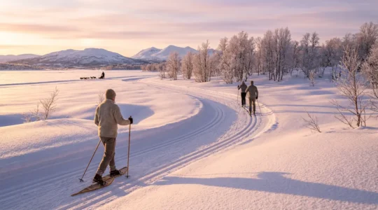 Vue panoramique d'un groupe pratiquant différentes activités nordiques sur une piste enneigée entourée de sapins