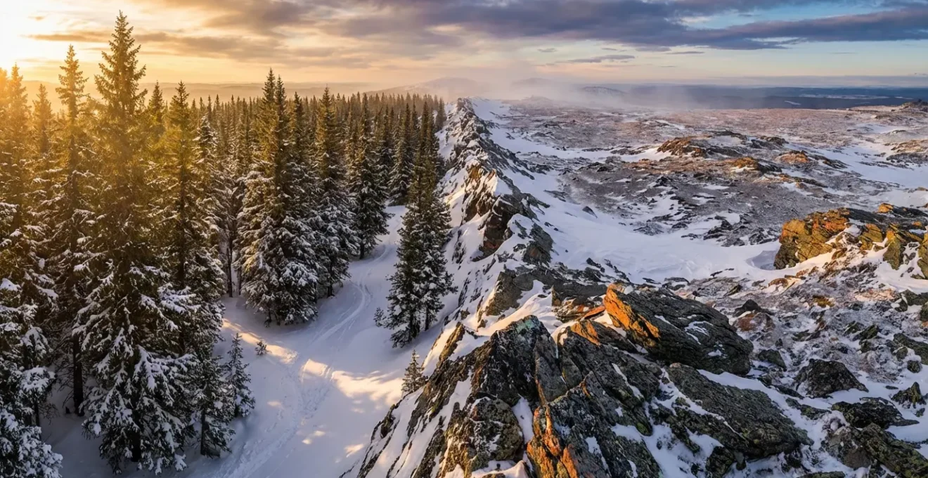 Contraste saisissant entre une piste traversant une forêt de sapins enneigés et une étendue minérale d'altitude